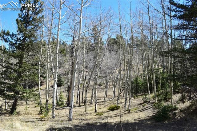 Schubarth Trail, Woodland Park, CO 80863