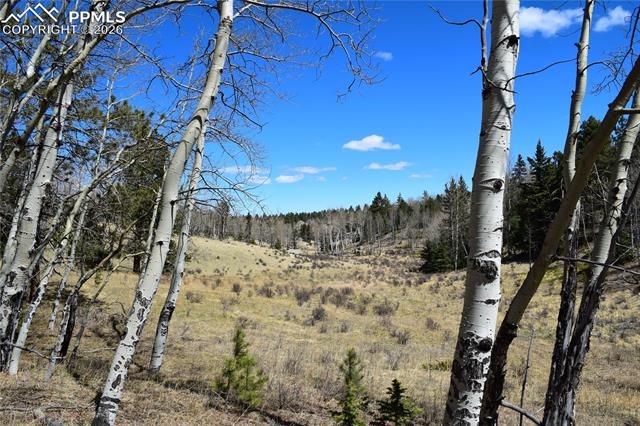 Schubarth Trail, Woodland Park, CO 80863