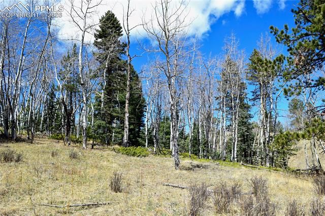Schubarth Trail, Woodland Park, CO 80863