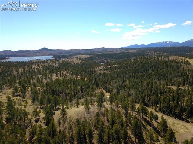 Schubarth Trail, Woodland Park, CO 80863