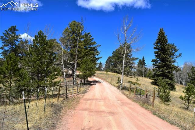 Schubarth Trail, Woodland Park, CO 80863