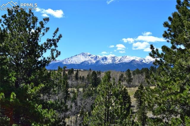 Schubarth Trail, Woodland Park, CO 80863