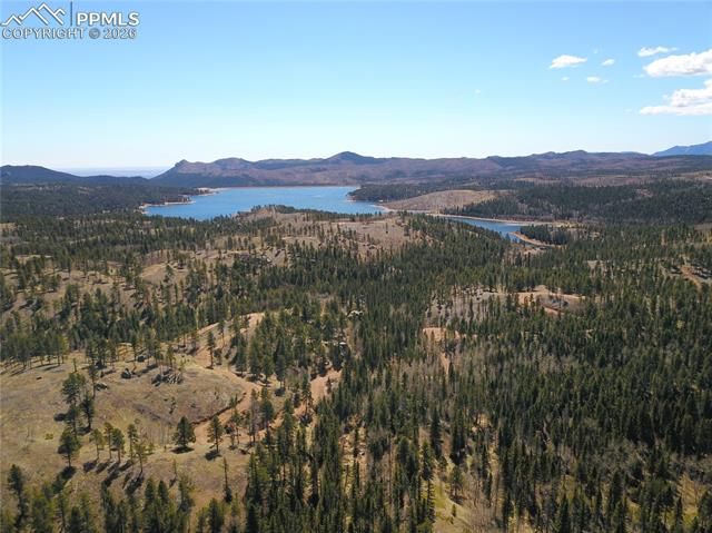 Schubarth Trail, Woodland Park, CO 80863