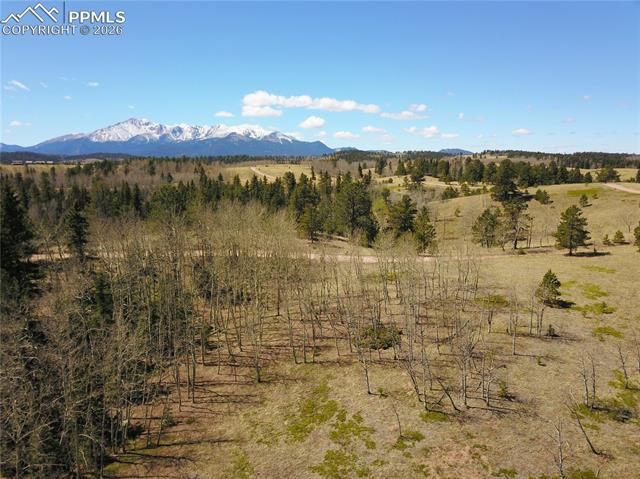 Schubarth Trail, Woodland Park, CO 80863