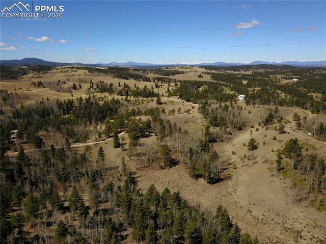 Schubarth Trail, Woodland Park, CO 80863