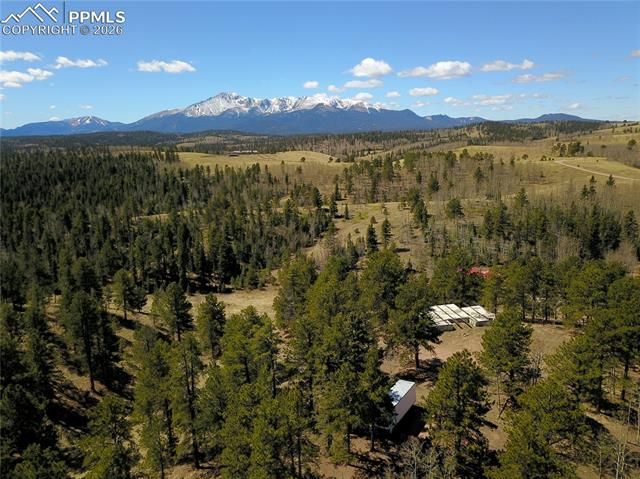 Schubarth Trail, Woodland Park, CO 80863