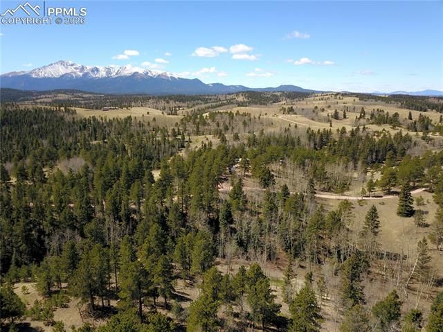 Schubarth Trail, Woodland Park, CO 80863
