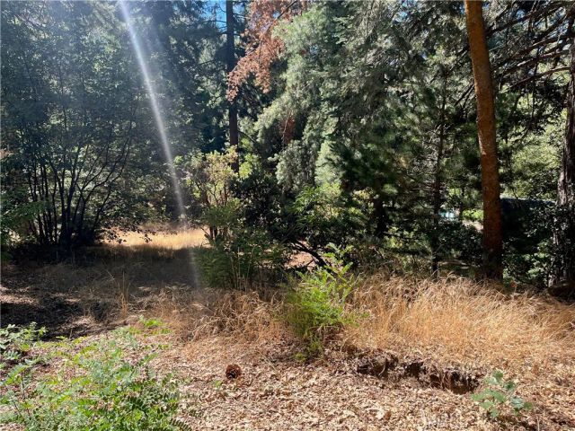 6020 Lake, Angelus Oaks, CA 92305