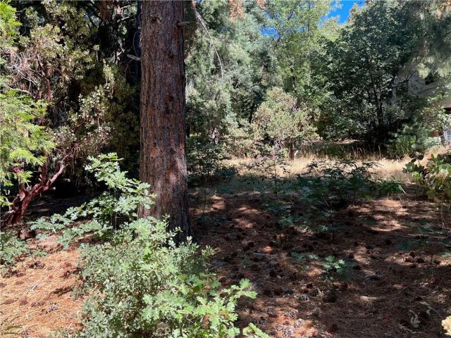 6020 Lake, Angelus Oaks, CA 92305