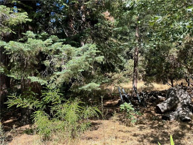 6020 Lake, Angelus Oaks, CA 92305