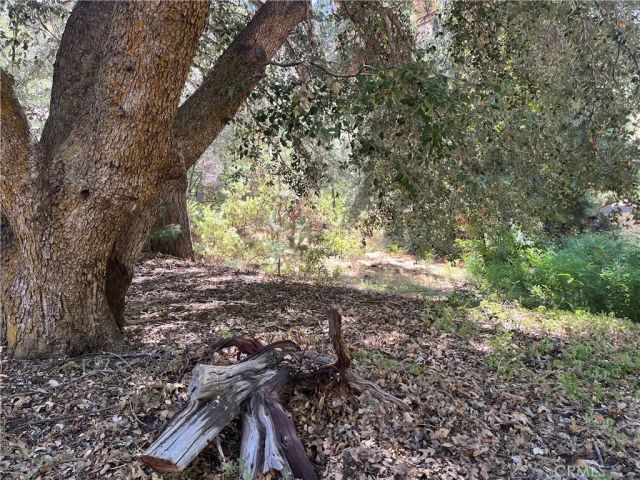 6020 Lake, Angelus Oaks, CA 92305
