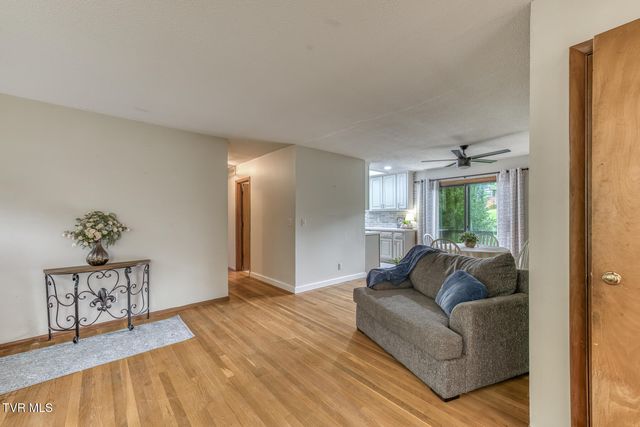 300 Peach Blossom Court, Johnson City, TN 37604