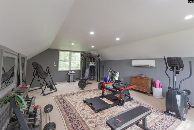 228 Shady Acres Drive, Chapin, SC 29036