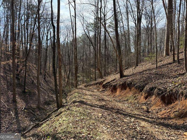 131 Nicholson Lane, Talking Rock, GA 30175