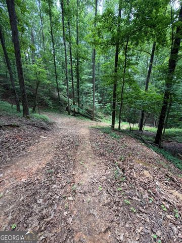131 Nicholson Lane, Talking Rock, GA 30175