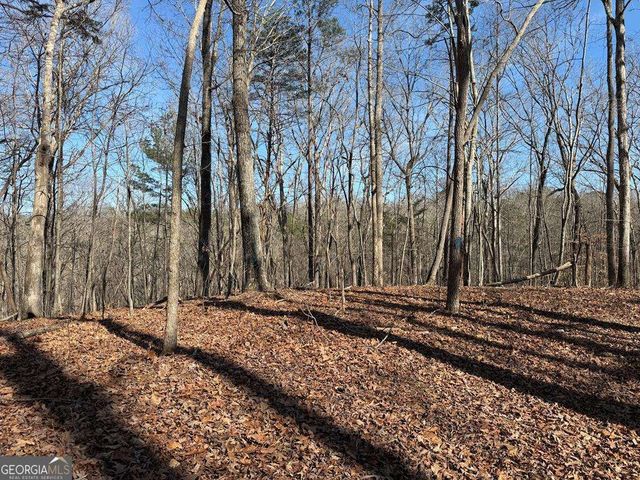 131 Nicholson Lane, Talking Rock, GA 30175