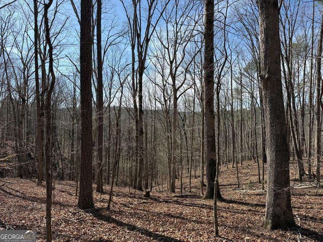 131 Nicholson Lane, Talking Rock, GA 30175