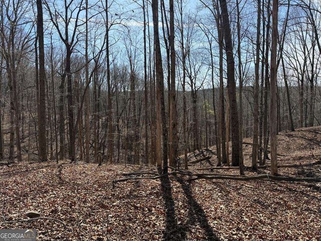 131 Nicholson Lane, Talking Rock, GA 30175