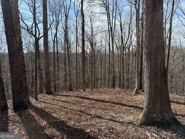 131 Nicholson Lane, Talking Rock, GA 30175