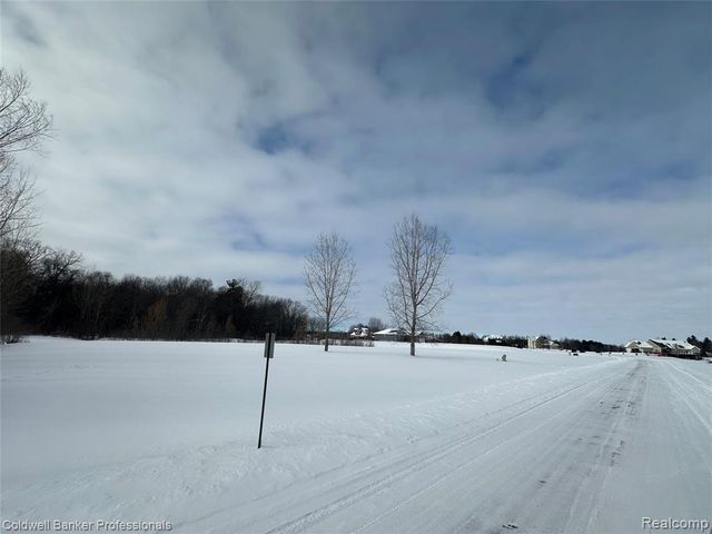 Parcel 2 & 3 Nelson William, Update, MI 48462