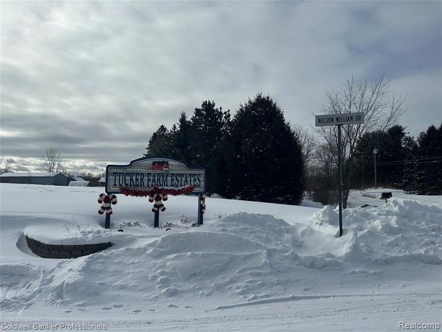 Parcel 2 & 3 Nelson William, Update, MI 48462