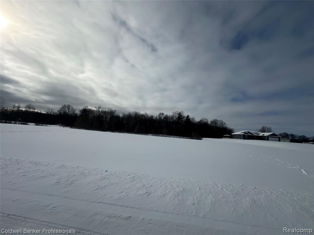 Parcel 2 & 3 Nelson William, Update, MI 48462