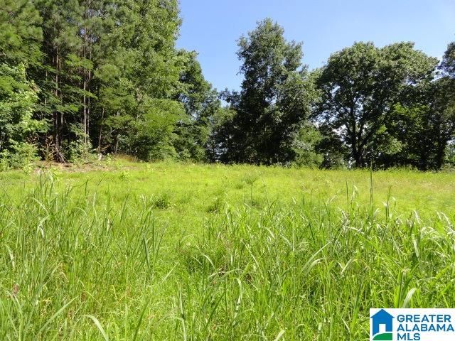 3286 HILLCREST PLACE, Adamsville, AL 35005