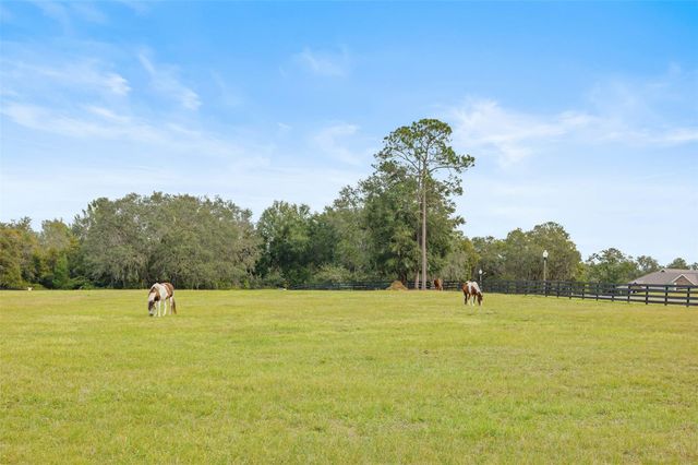 41526 SADDLE RIDGE LANE, Other, FL 32195