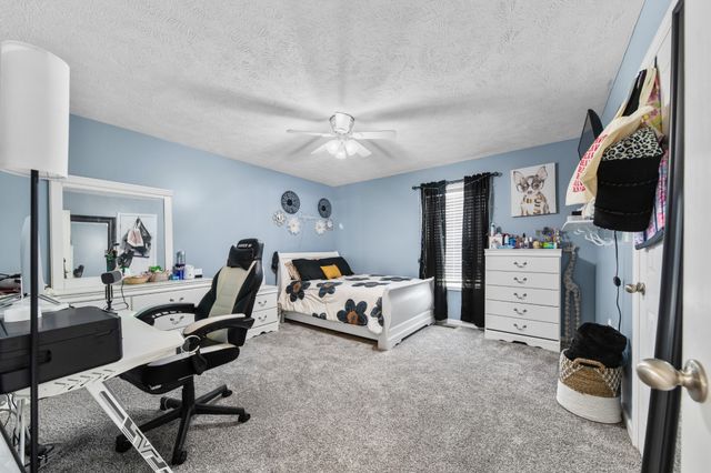 300 Daytona Dr, Cornersville, TN 37047