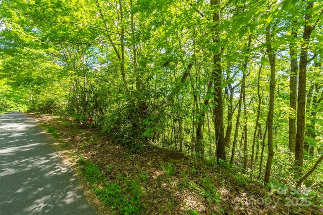 387 Chapel Road, Black Mountain, NC 28711