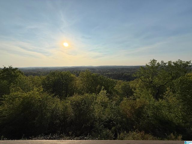 2125 BROOK HIGHLAND RIDGE, Birmingham, AL 35242