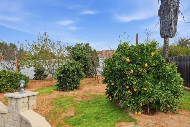 1668 Spanish Oak Pl, El Cajon, CA 92019