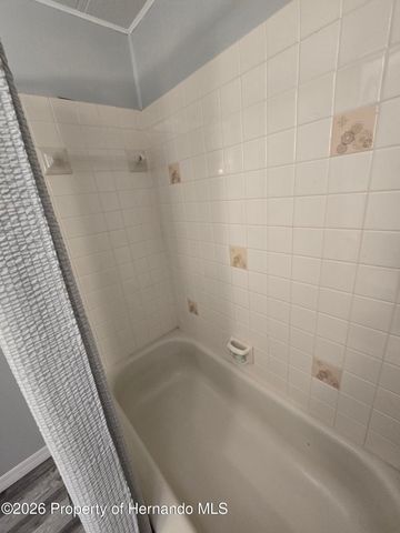 14312 Adair Street, Brooksville, FL 34613