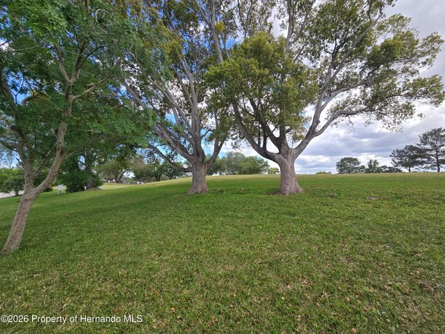 14312 Adair Street, Brooksville, FL 34613