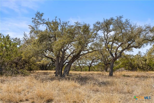TBD RM 2721, Johnson City, TX 78636