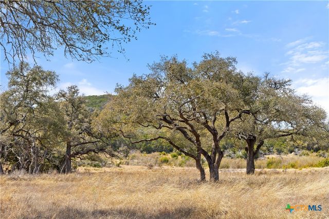 TBD RM 2721, Johnson City, TX 78636