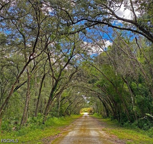 35034 Batesfield ST, Webster, FL 33597