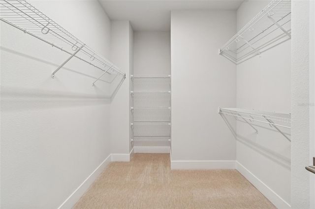 6605 N NEBRASKA AVENUE 17, Tampa, FL 33604