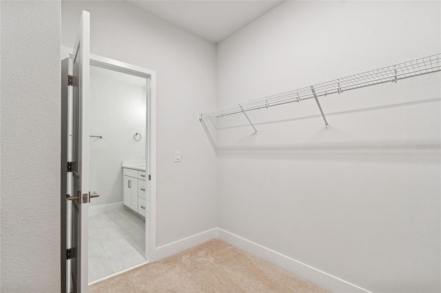 6605 N NEBRASKA AVENUE 17, Tampa, FL 33604