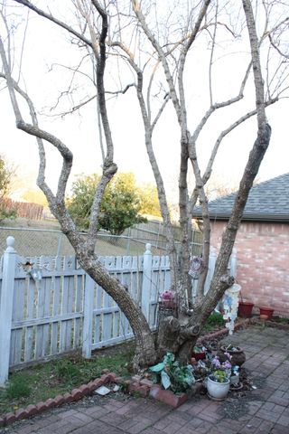 318 Creekview Circle, Crandall, TX 75114