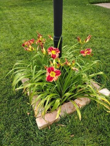 707 Montana Street, Borger, TX 79007