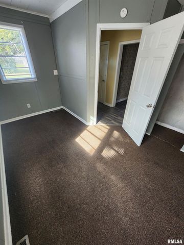 613 W CHERRY Street, Carbondale, IL 62901