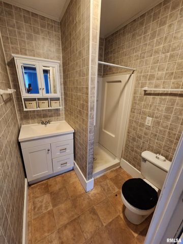 613 W CHERRY Street, Carbondale, IL 62901