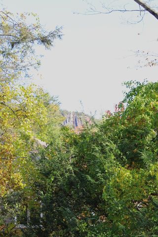 360 Fountain Street APT 5, New Haven, CT 06515