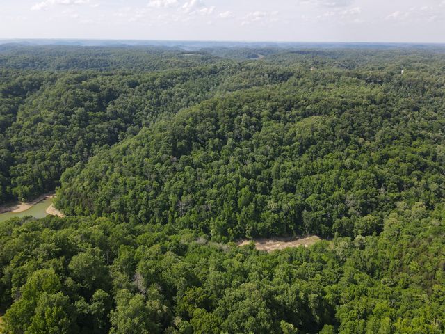 0 Clemons Ridge Rd, Silver Point, TN 38582
