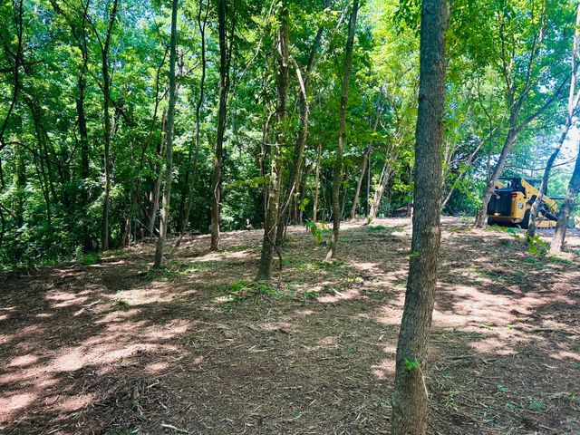 0 Clemons Ridge Rd, Silver Point, TN 38582