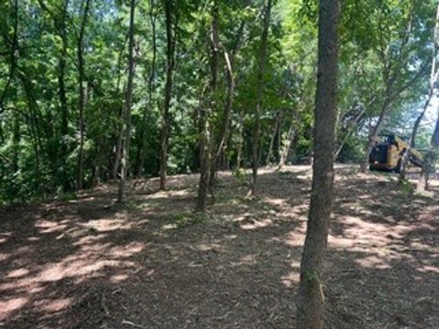 0 Clemons Ridge Rd, Silver Point, TN 38582