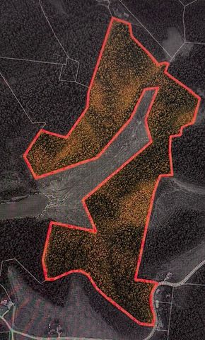 0 Clemons Ridge Rd, Silver Point, TN 38582