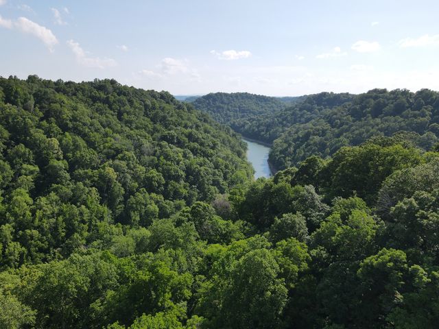 0 Clemons Ridge Rd, Silver Point, TN 38582