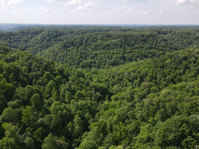 0 Clemons Ridge Rd, Silver Point, TN 38582